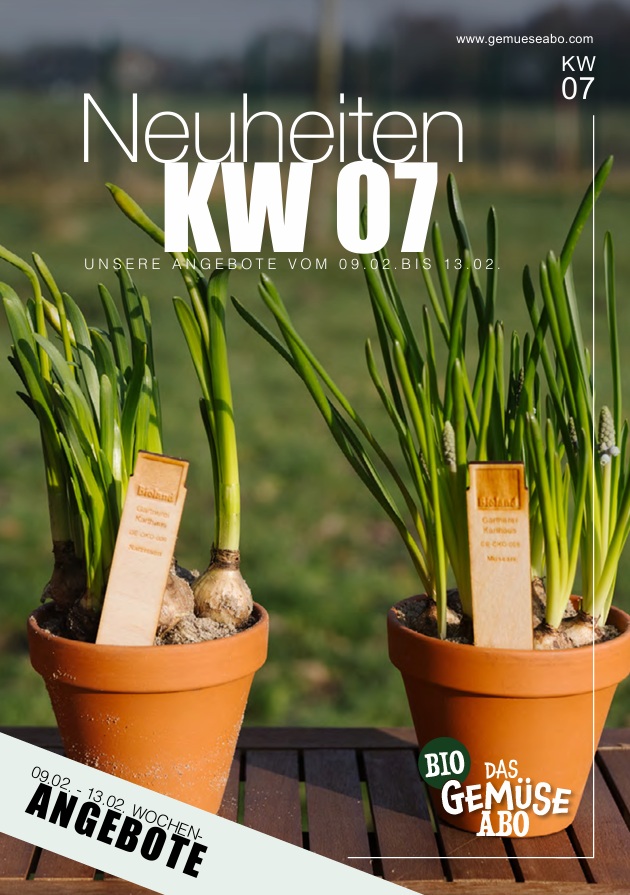 Newsletter KW 07