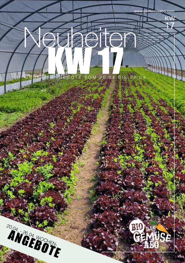 Newsletter KW 17