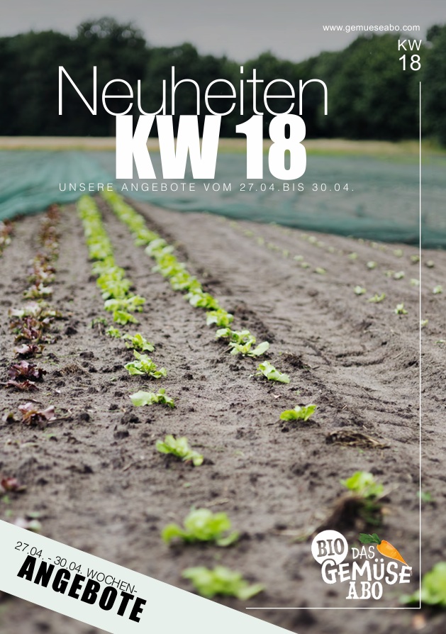 Newsletter KW 18