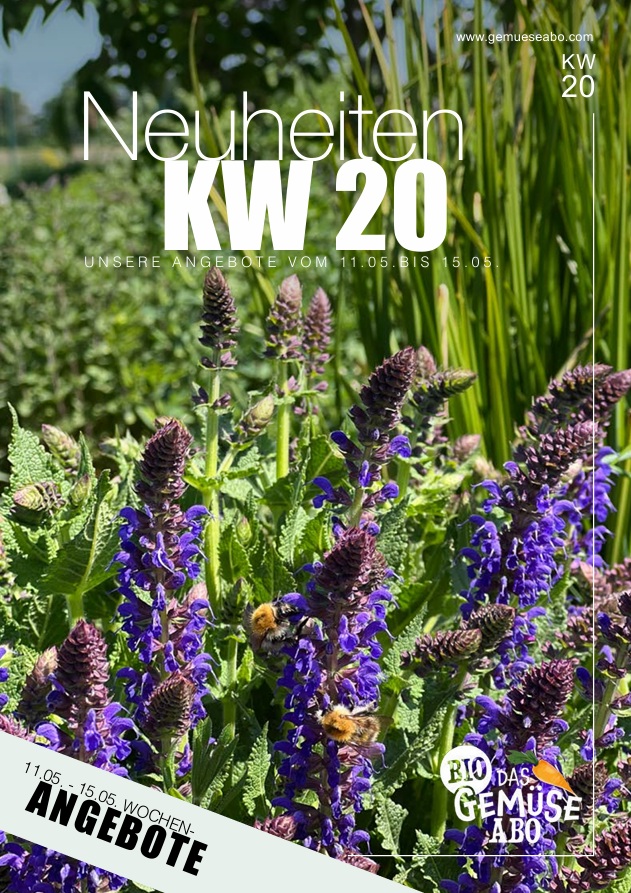 Newsletter KW 20