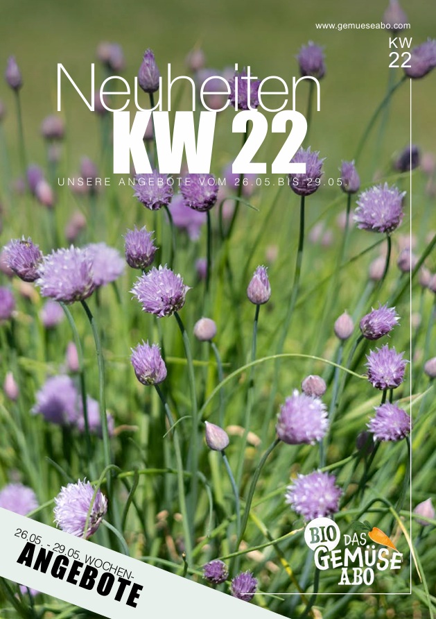 Newsletter KW 22