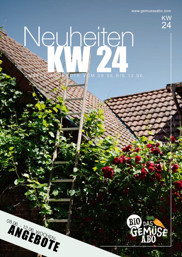 Newsletter KW 24