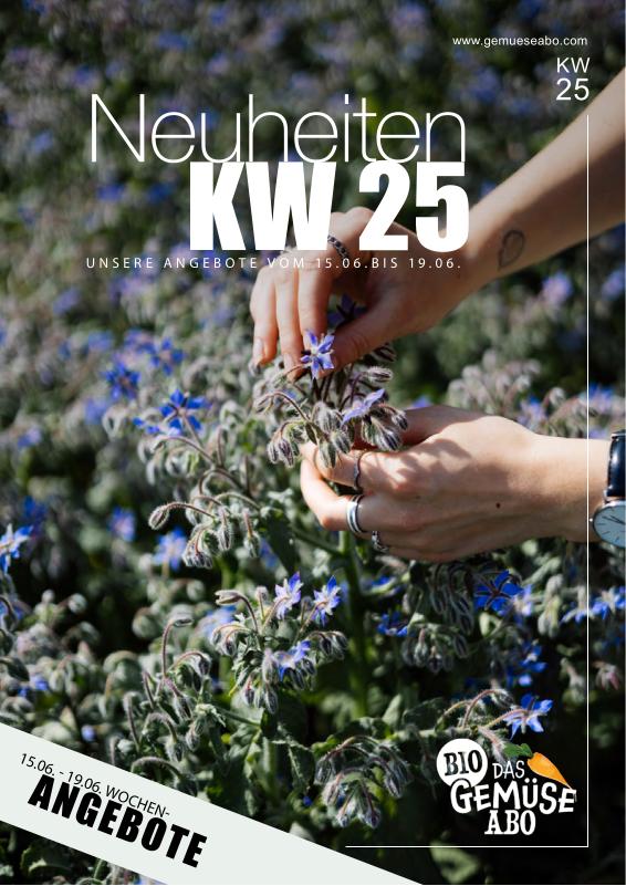 Newsletter KW 25