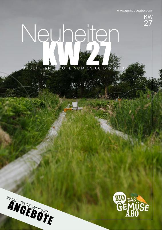 Newsletter KW 27