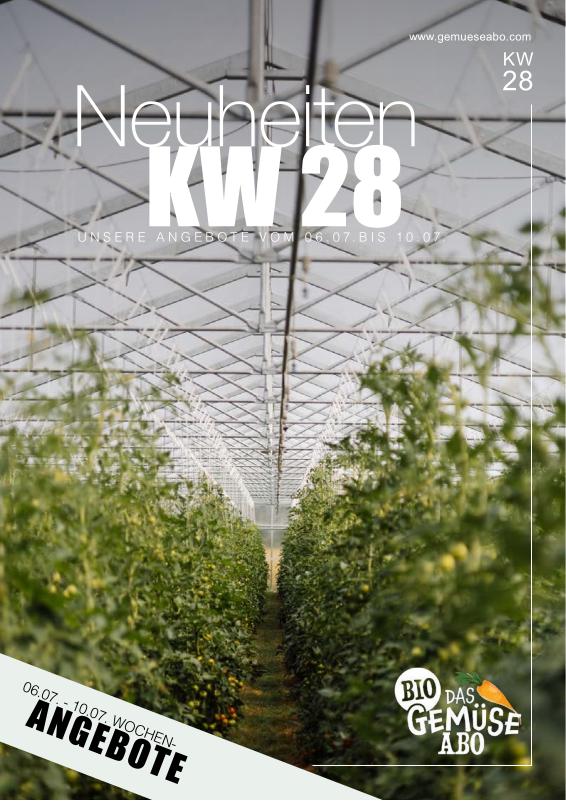 Newsletter KW 28