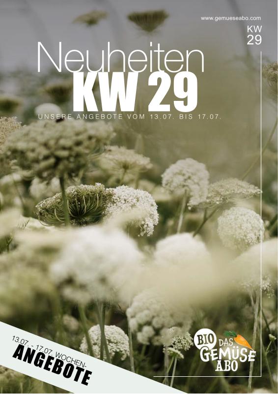 Newsletter KW 29