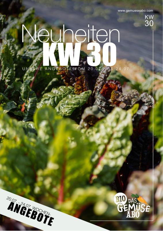 Newsletter KW 30
