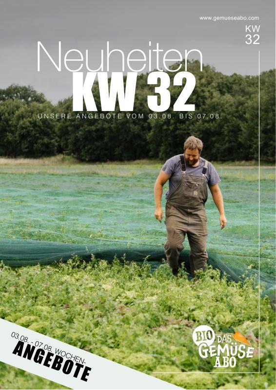 Newsletter KW 32