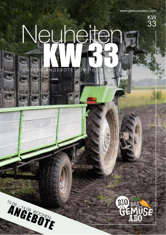 Newsletter KW 33