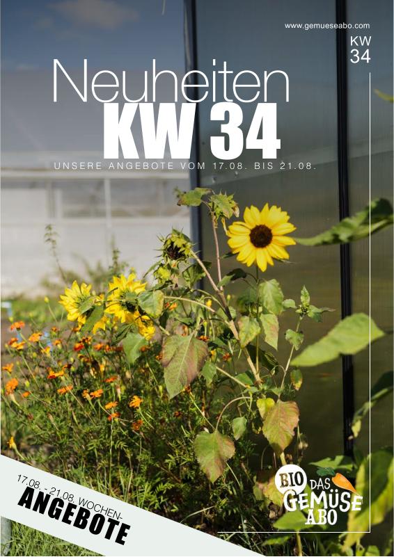 Newsletter KW 34