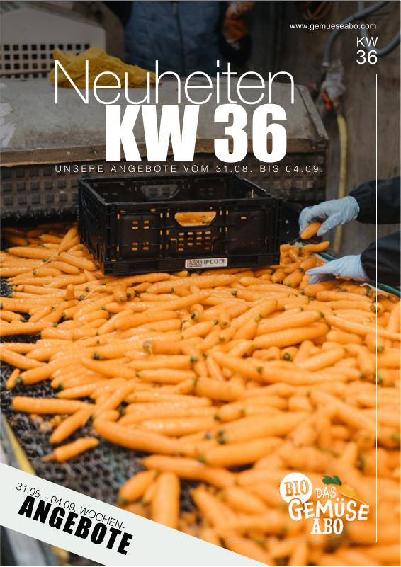 Newsletter KW 36