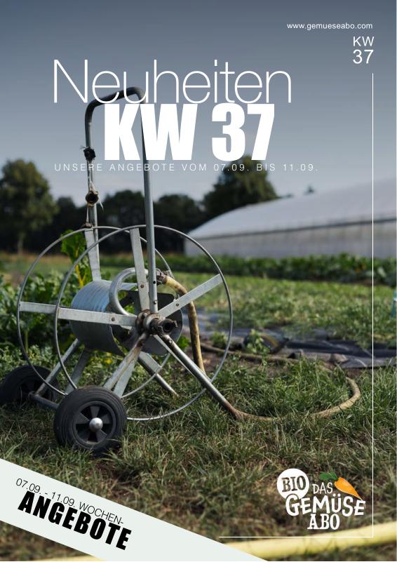 Newsletter KW 37