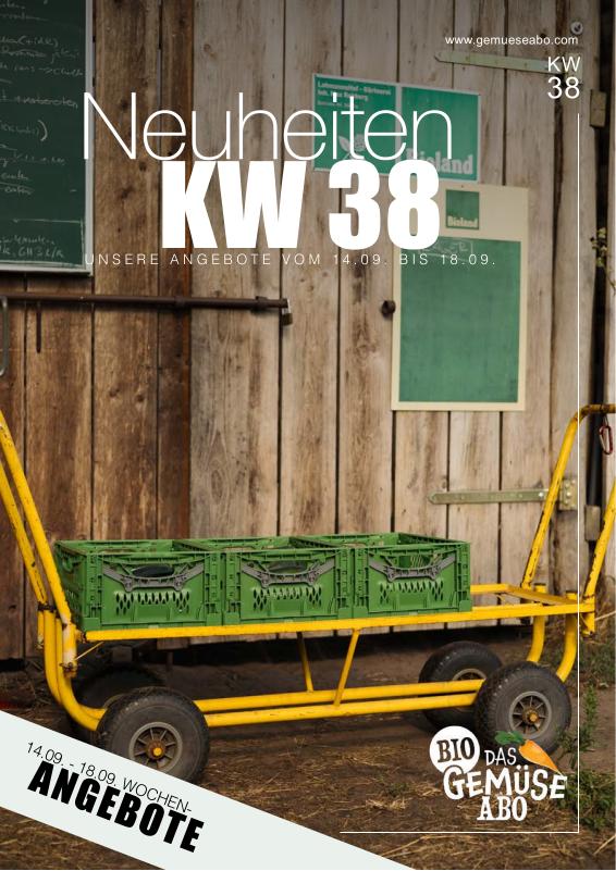 Newsletter KW 38