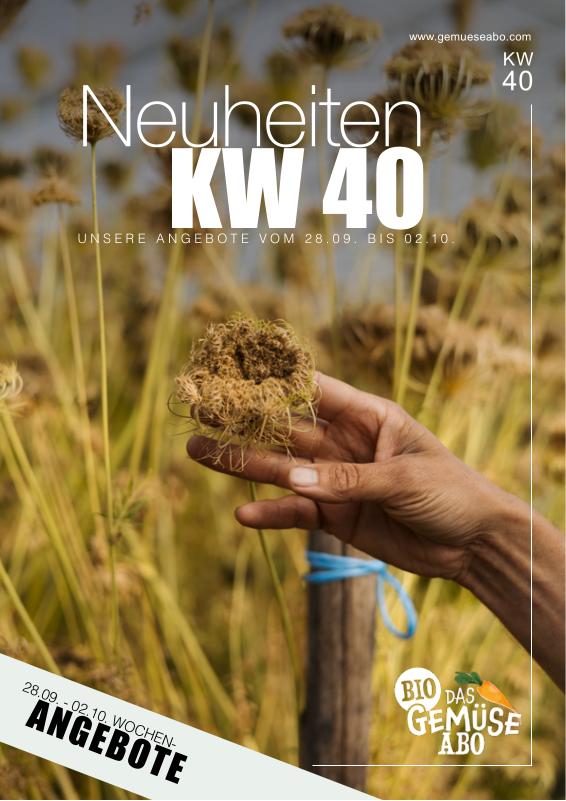 Newsletter KW 40