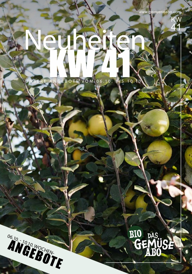 Newsletter KW 41