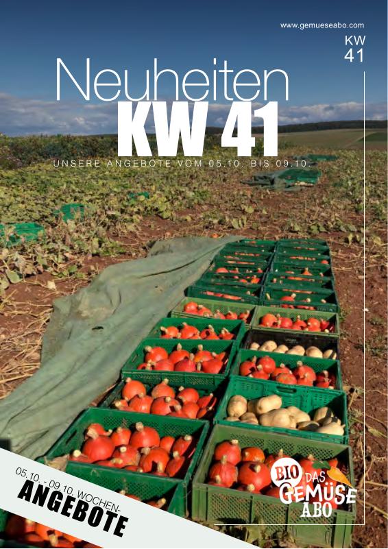 Newsletter KW 41