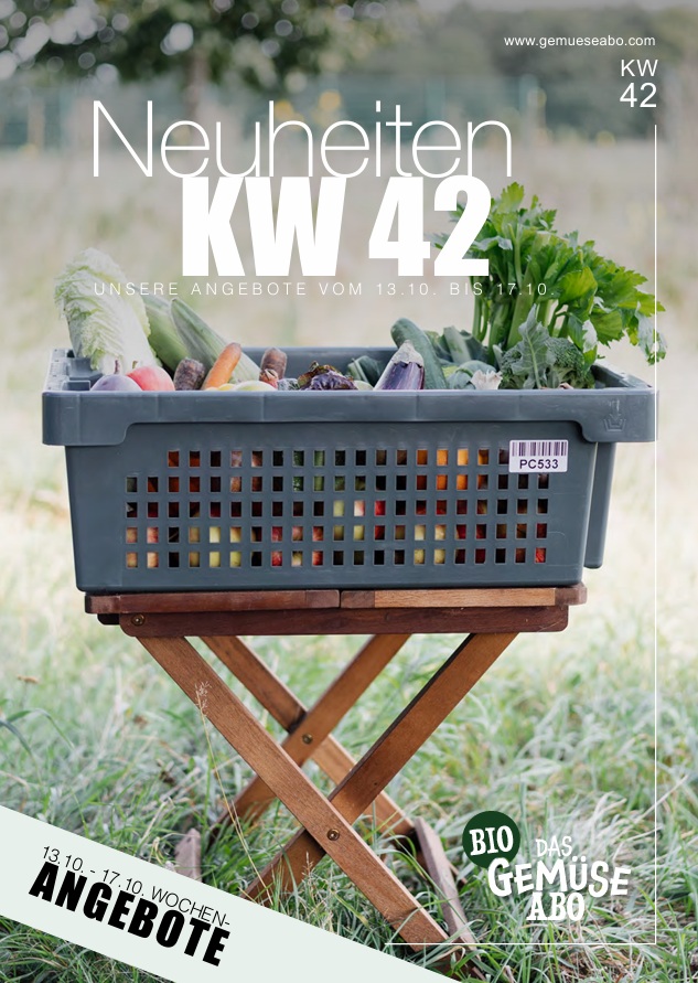 Newsletter KW 42