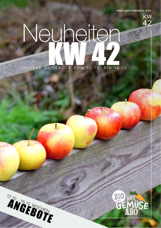 Newsletter KW 42