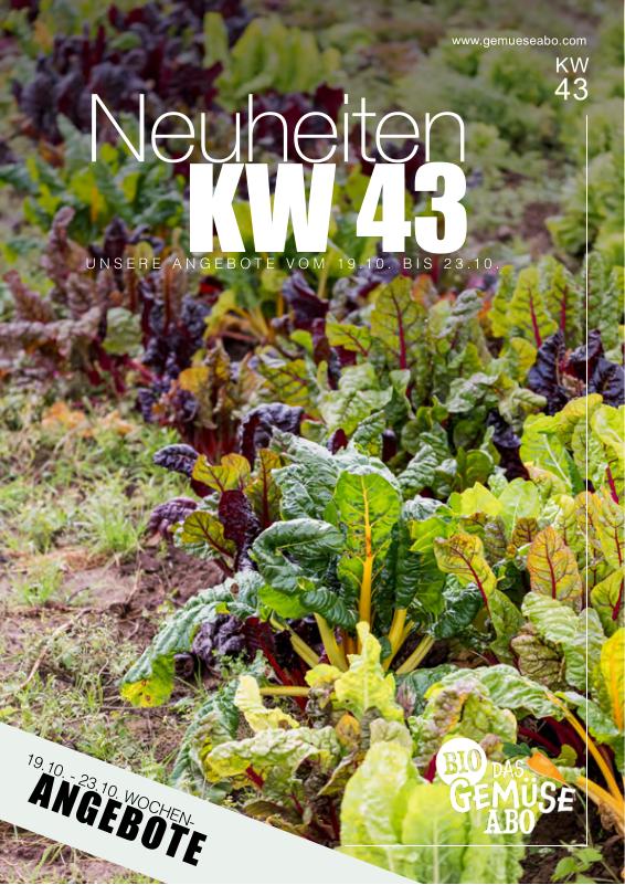 Newsletter KW 43