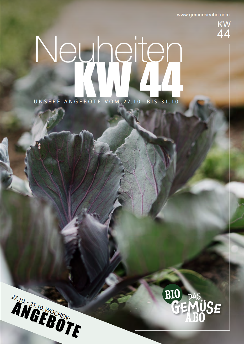 Newsletter KW 44