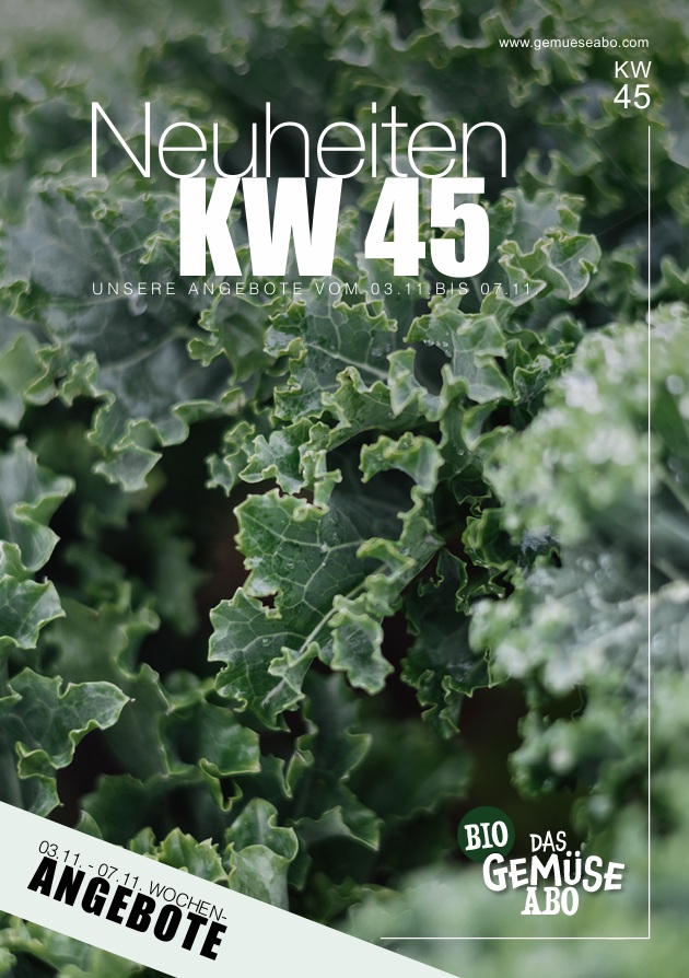 Newsletter KW 45