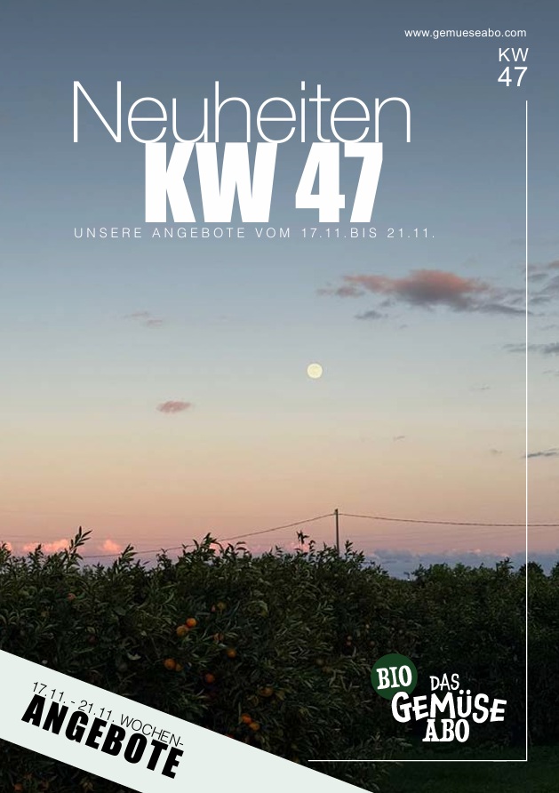 Newsletter KW 47